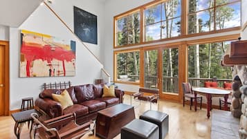 TV, fireplace, books