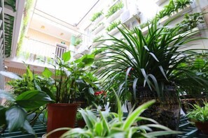 Property grounds - Wuzhen Flower House (Tongxiang)