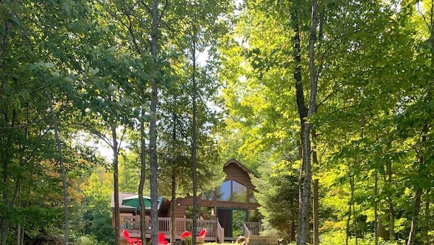 Una escalera de piedra que conduce a una cabaña de madera rodeada de un bosque denso.