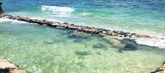 Pineapple Paradise - Natural rock tidal pool