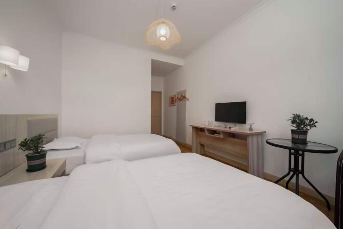 A hotel room with a bed, bedside tables, a TV, a small table with a plant, and a hanging light fixture.