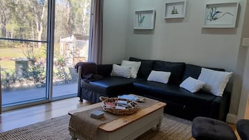 Smart TV, fireplace, books