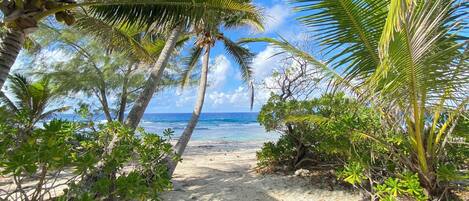Sur la plage, sable blanc, serviettes de plage