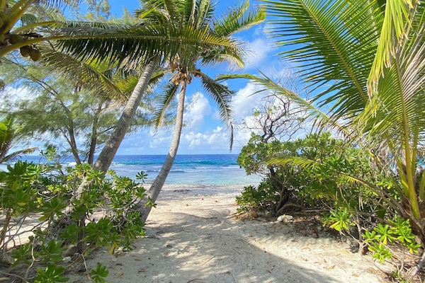 En la playa, playa de arena blanca y toallas de playa