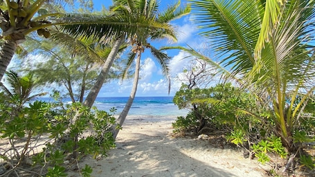 En la playa, arena blanca, toallas de playa. MOOREA CHILL AND BEACH LODGE