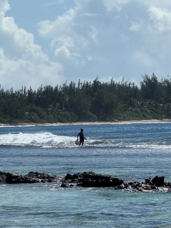 Fishing - MOOREA CHILL AND BEACH LODGE (Moorea-Maiao)