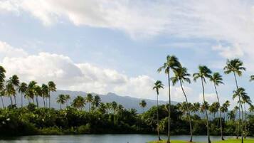 Apartment, Accessible | 3 bedrooms, Internet