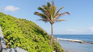A coastal landscape with a palm tree and dense green foliage. - The Oliver Hotel - Adults Only (San Juan)