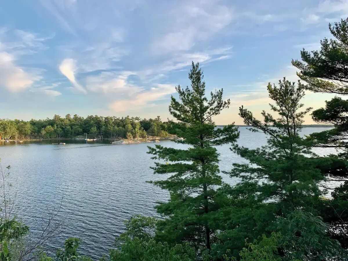 A lake surrounded by trees and a clear sky.