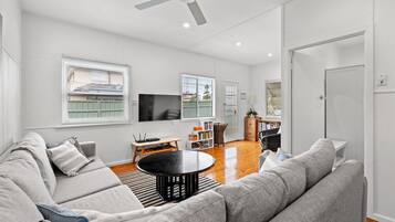 TV, fireplace, DVD player, books