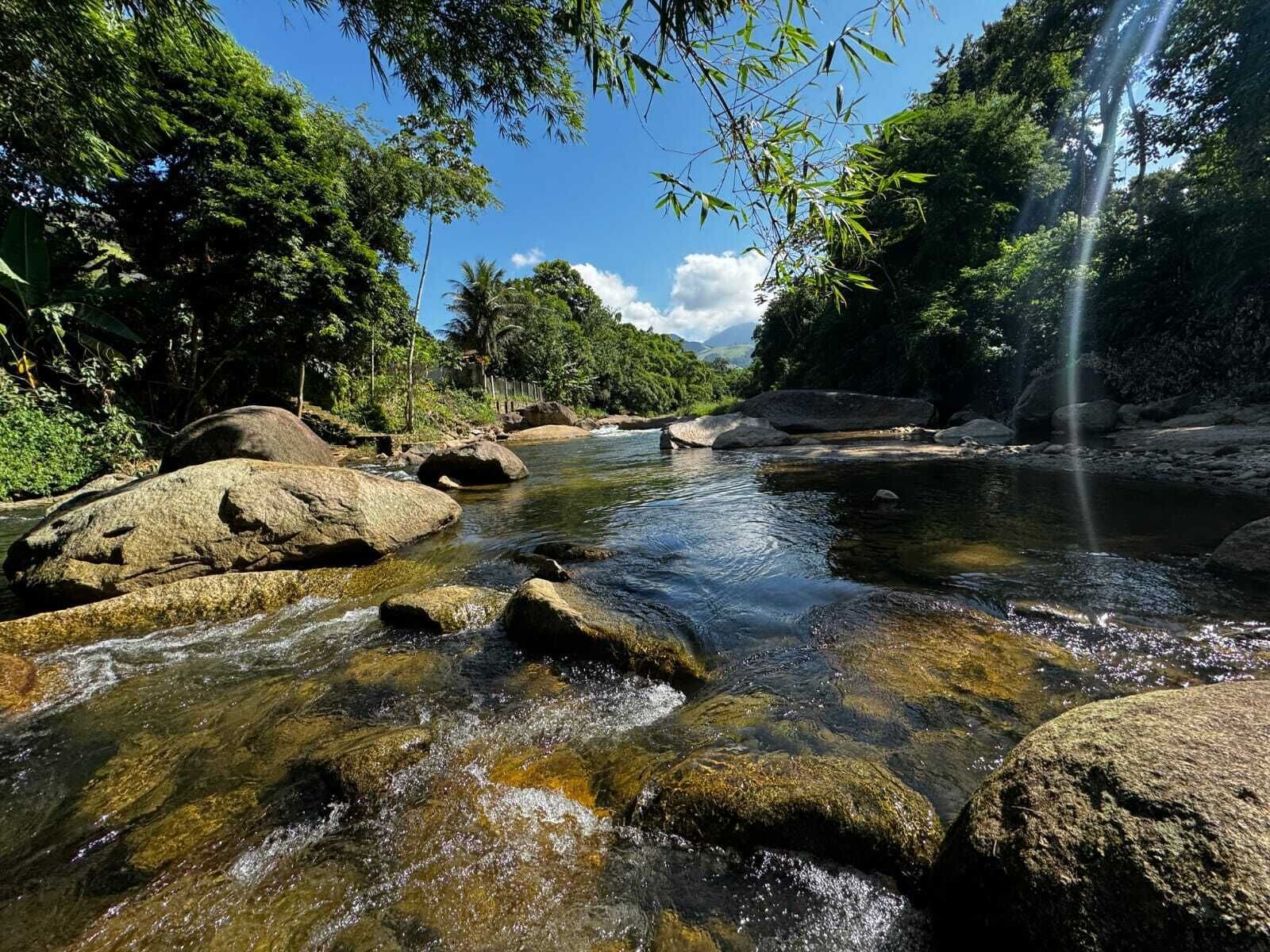 Un paysage fluvial naturel avec des rochers et des arbres.