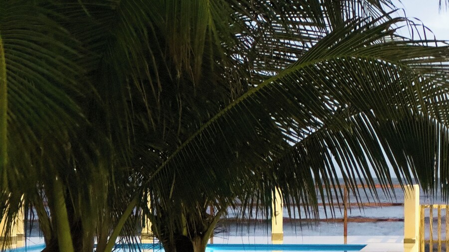 Hotel Costa del Surf