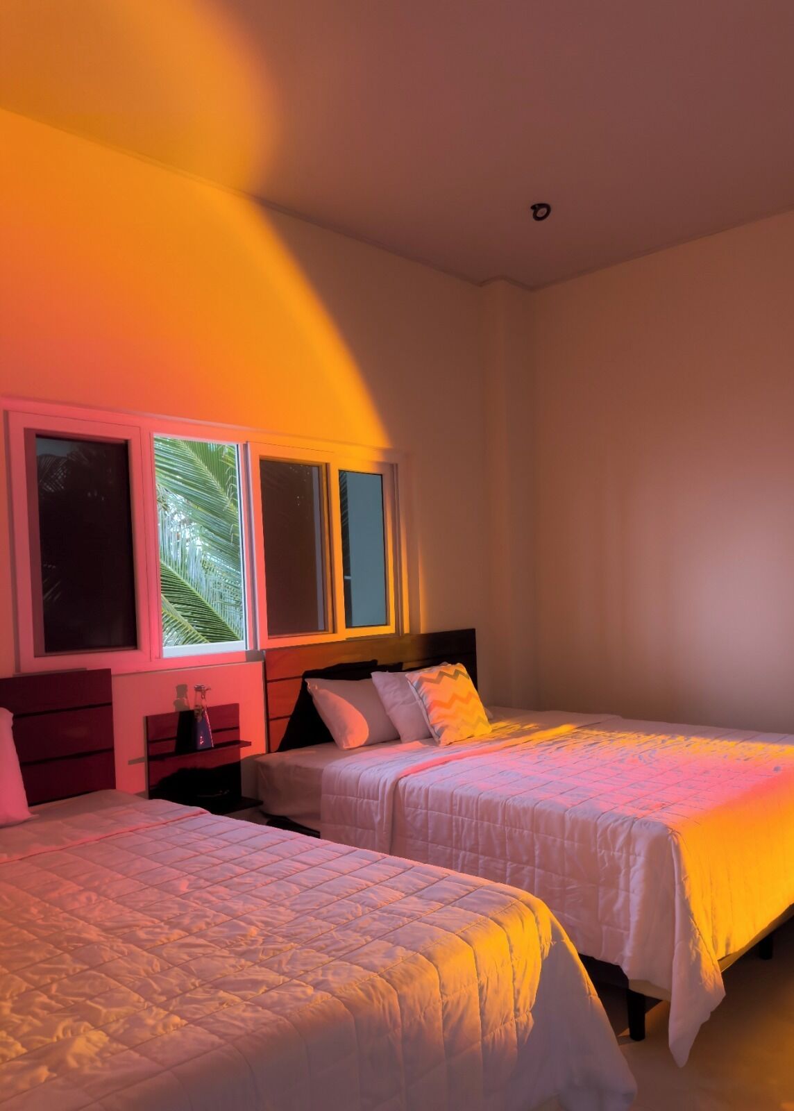 Ein Schlafzimmer mit zwei Betten, einem Nachttisch und einem Fenster mit Blick auf Palmen.