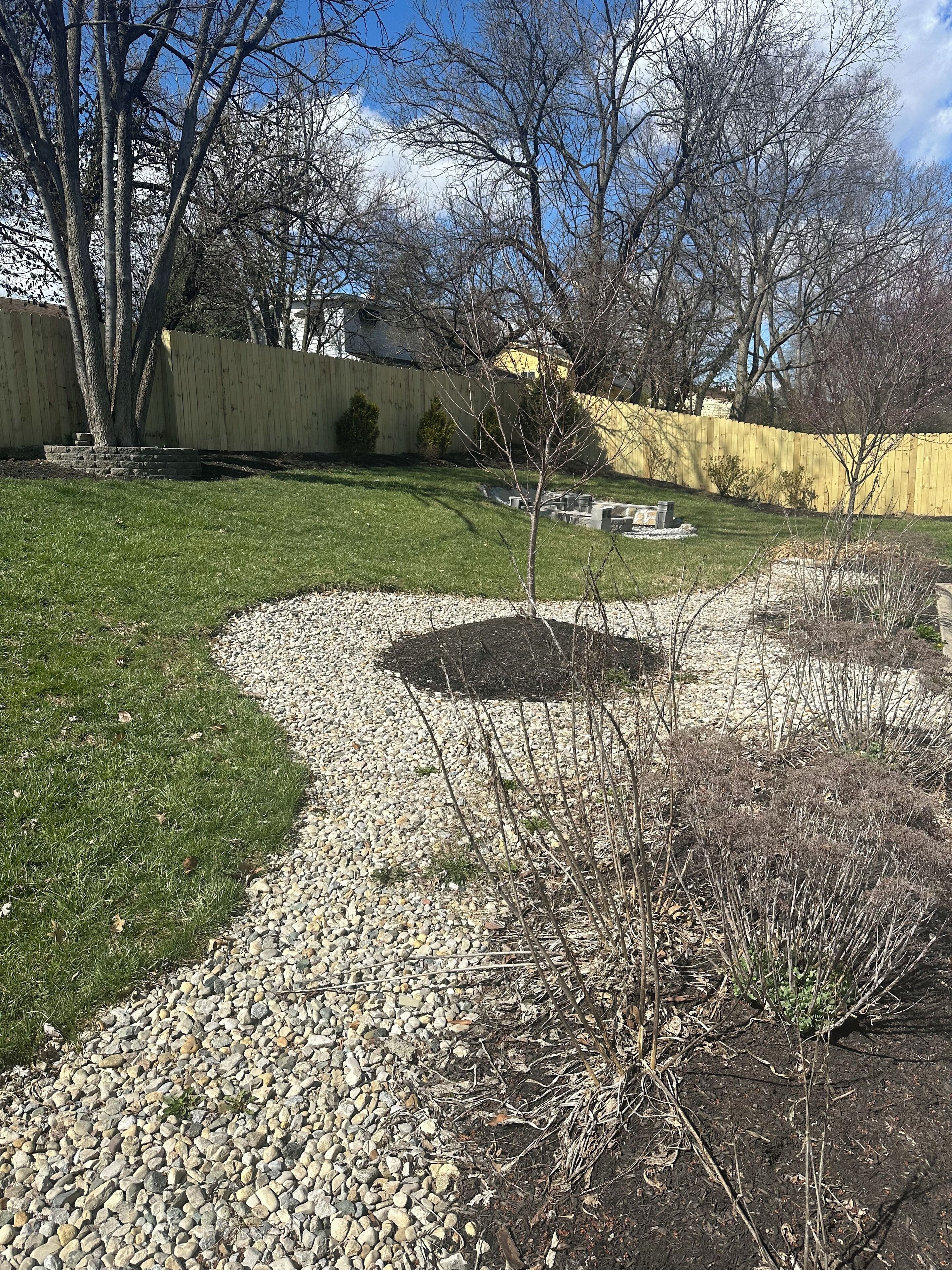 A landscaped backyard with a gravel path, a small tree, and a yellow fence.