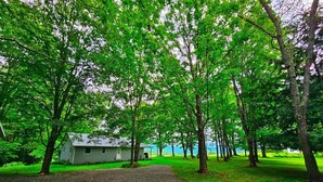 A cabin surrounded by trees with a gravel path leading to it. - Rustic Farmstay, Bucolic retreat w/Endless Views (Stowe)