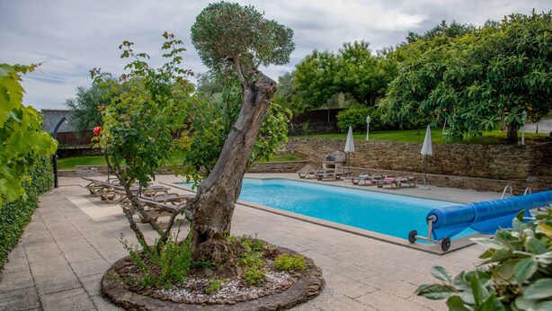 Una piscina con sillas de descanso, un árbol y un muro de piedra.