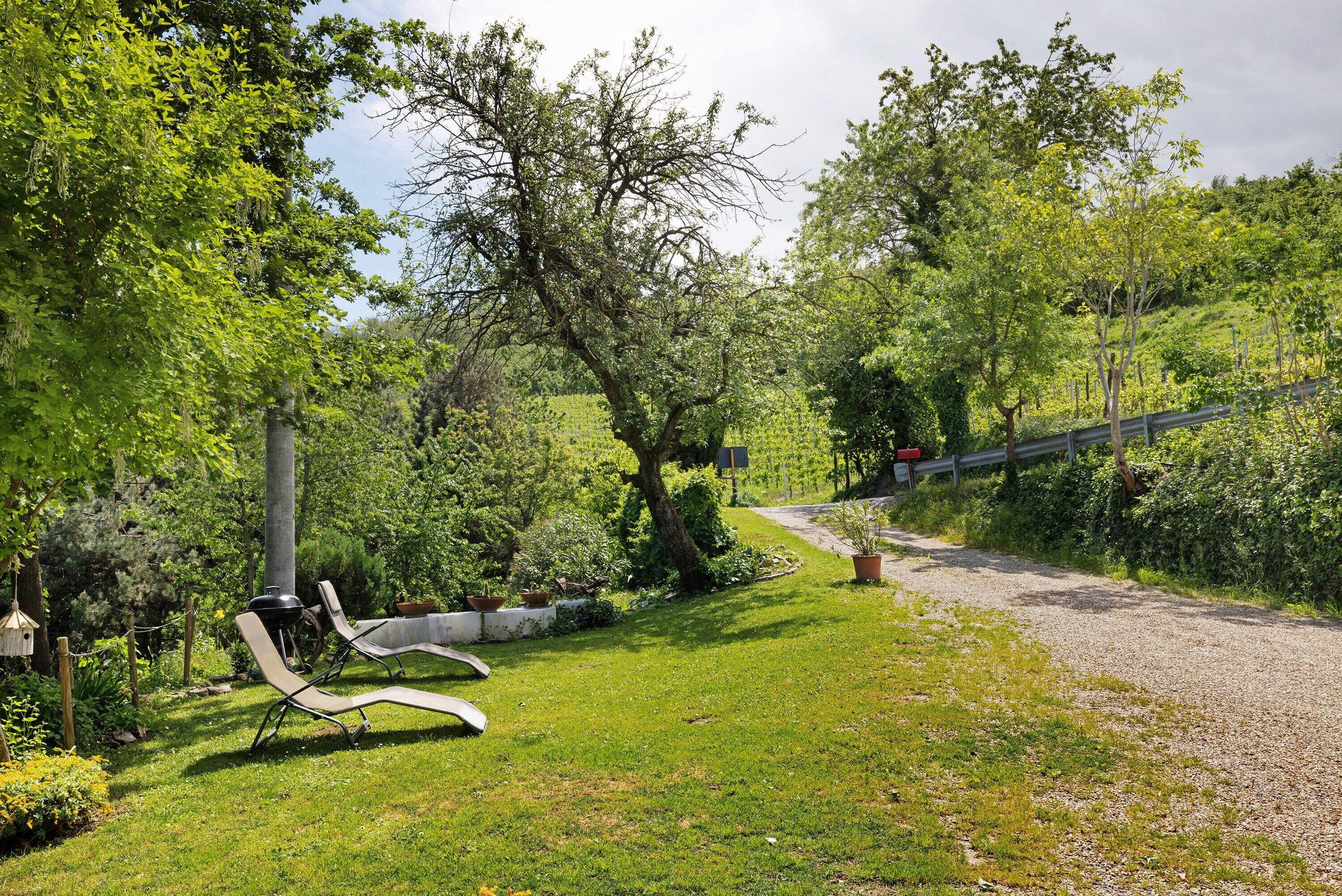 Un jardin avec un chemin de gravier, un barbecue et des chaises longues.