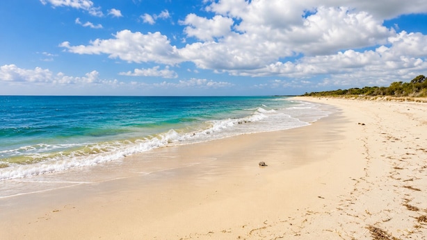 Una playa con agua azul cristalina, orilla de arena y vegetación dispersa.