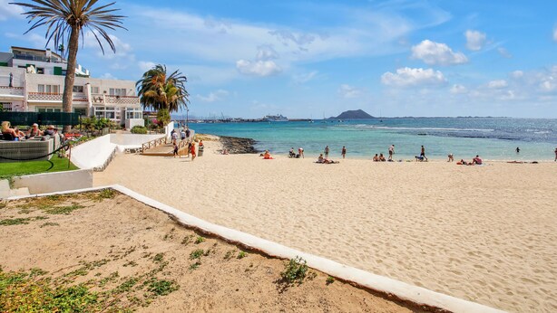 A beach with people sunbathing, a palm tree, and a building with balconies. - Vacation Home 'Casa Brando' with Balcony and Wi-Fi (Corralejo)
