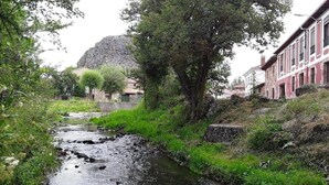 A narrow stream with a rocky bed, surrounded by greenery and trees, with buildings on one side.