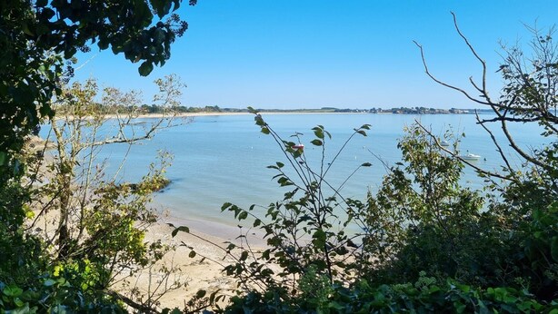 Un paysage côtier offrant une vue dégagée sur la mer, une plage de sable et une côte lointaine.