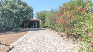 A stone pathway leading to a building with a tiled roof, surrounded by lush greenery and flowering plants.