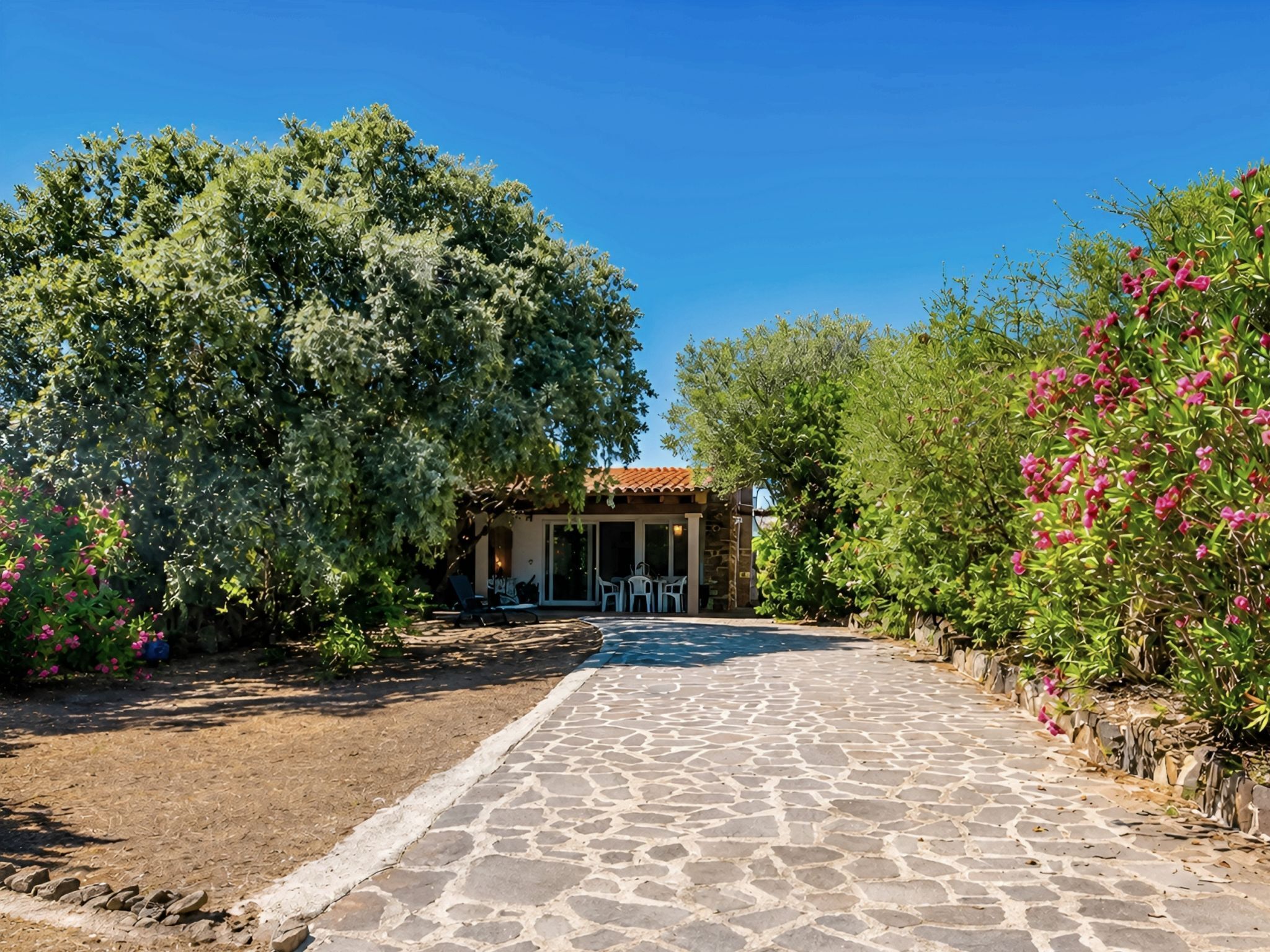 A stone pathway leading to a building with a tiled roof, surrounded by lush greenery and flowering plants.
