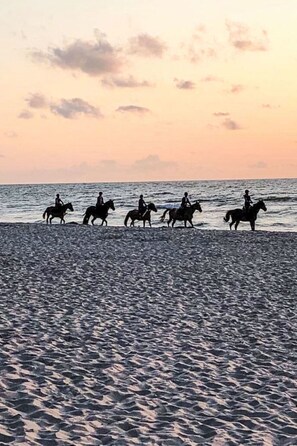 بالقرب من الشاطئ