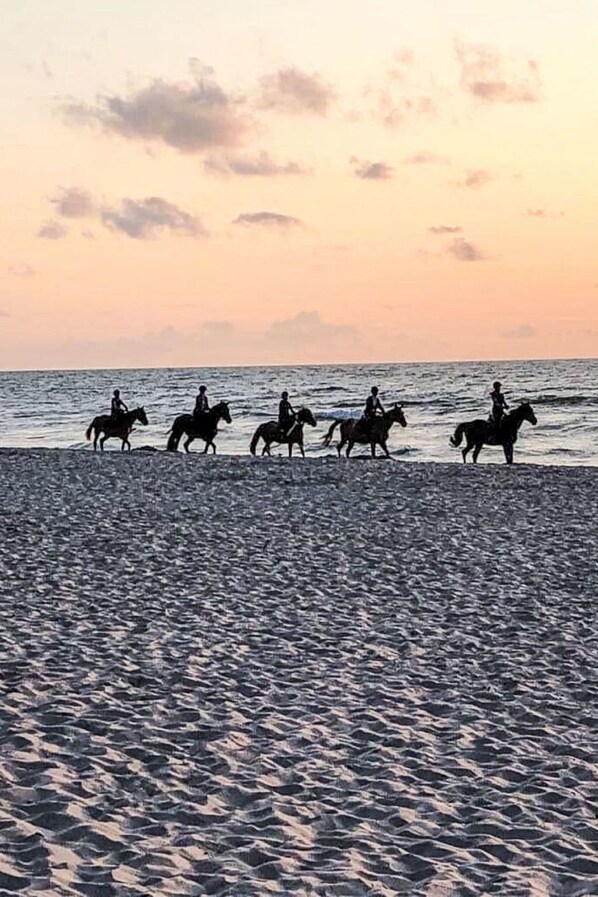 NĂ€ra stranden