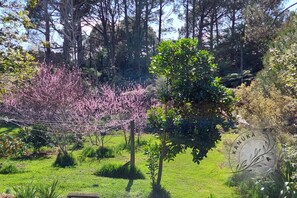 Property grounds - Rural & bush setting, only 2 min drive to beach, perfect for a romantic getaway! (Cooks Beach)