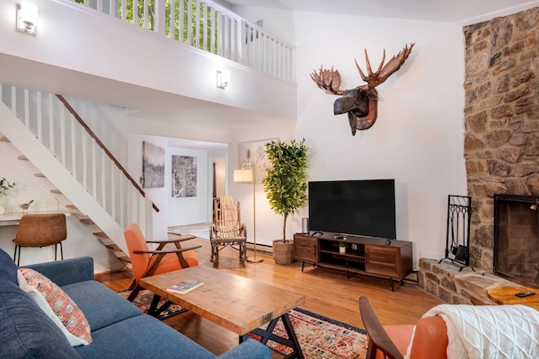 TV, fireplace, stereo, offices