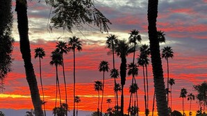 A golf course with palm trees and a sunset sky.