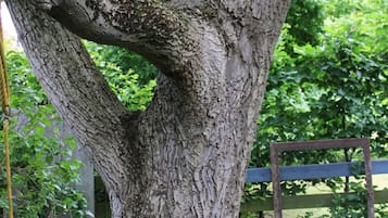 DĂ©tail de lâextĂ©rieur