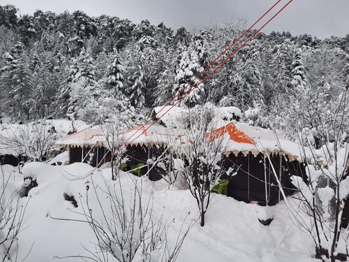 The Maple Leaf uttarakhand