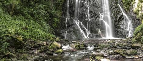 A waterfall cascading over rocks in a forested area.