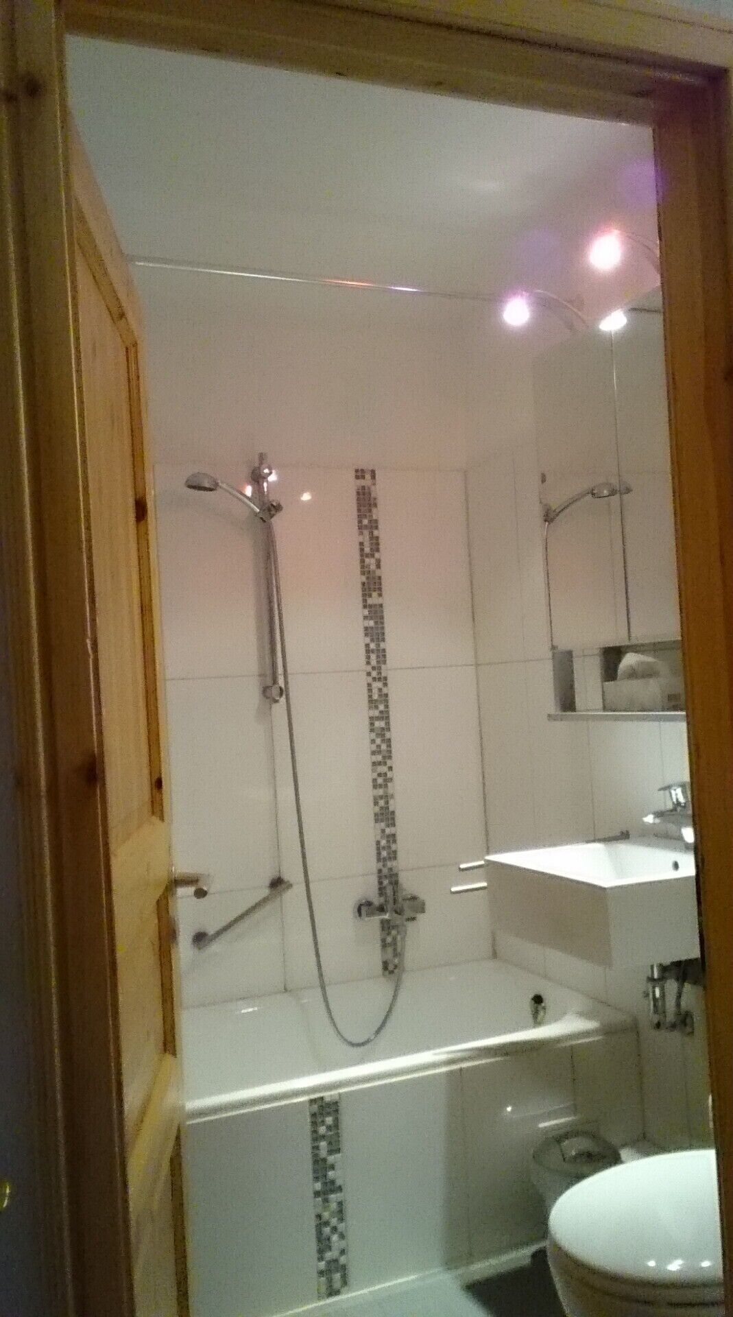 Dusche, Haartrockner