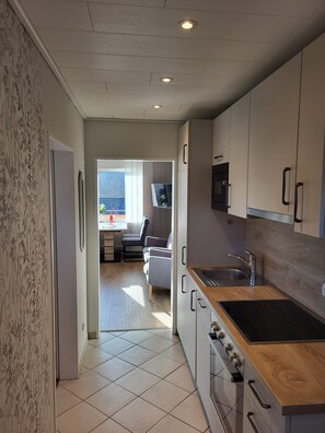 Fridge, microwave, oven, stovetop - Apartment 'Appartment 3' with Mountain View, Balcony and Wi-Fi (Willingen (Upland))