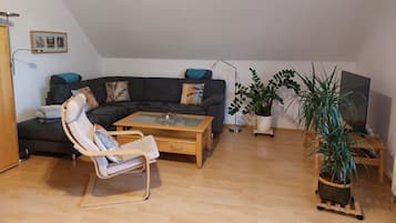 Fernseher