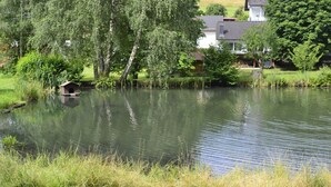 Ein Teich mit einem Vogelhäuschen, umgeben von Bäumen und einem Haus im Hintergrund.