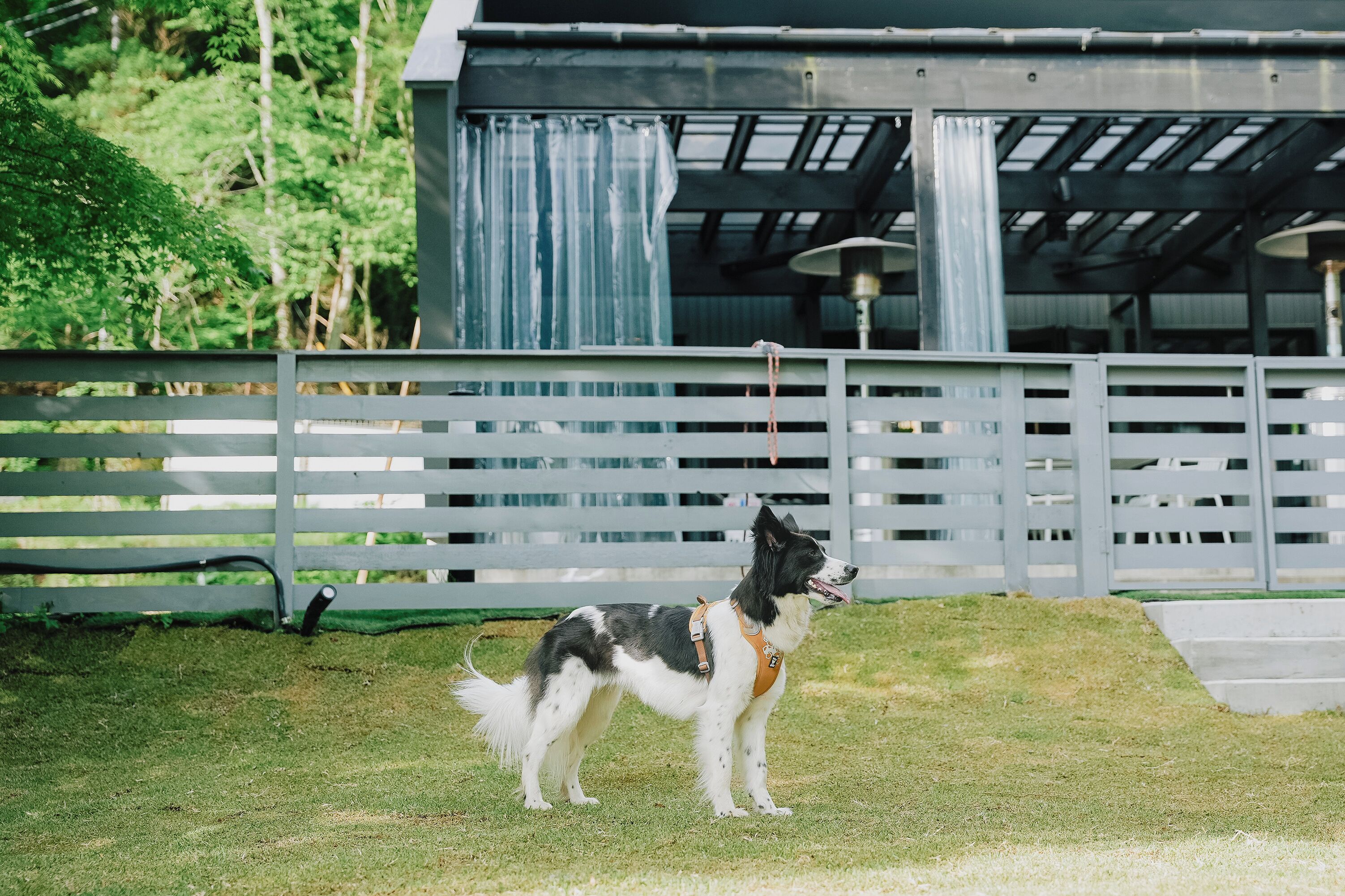Enceinte de l’hébergement