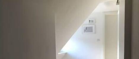 A narrow hallway with wooden flooring leading to a sloped ceiling.