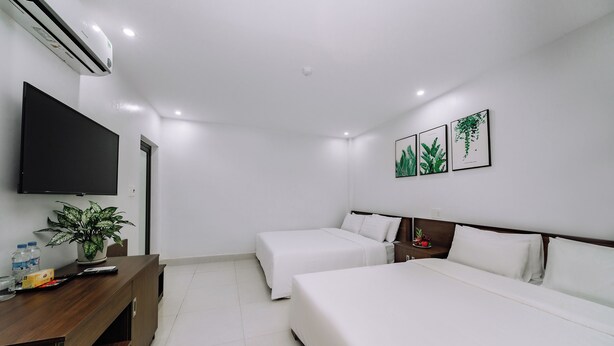 Habitación de hotel con dos camas, un televisor, un escritorio, una planta en maceta e impresiones botánicas enmarcadas en la pared.