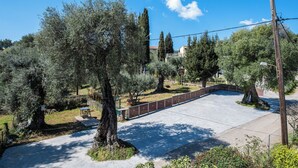 A paved pathway, trees, and a wooden fence.