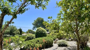 Property grounds - CASA OSLO (Estartit)