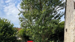 A garden with red lounge chairs, a large tree, and a stone wall. - Cosy sur Ourcq (TROESNES)
