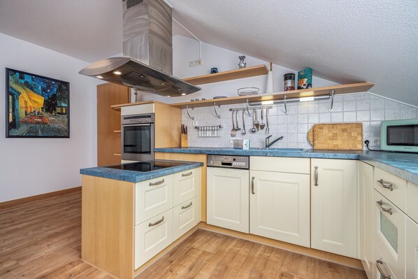 Kühlschrank, Ofen, Herdplatte, Geschirrspüler