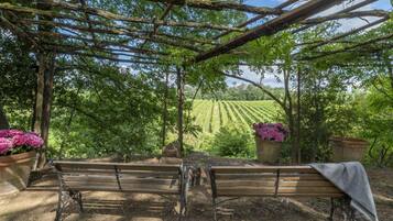 Parco della struttura