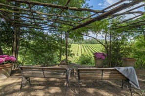 Terrein van de accommodatie