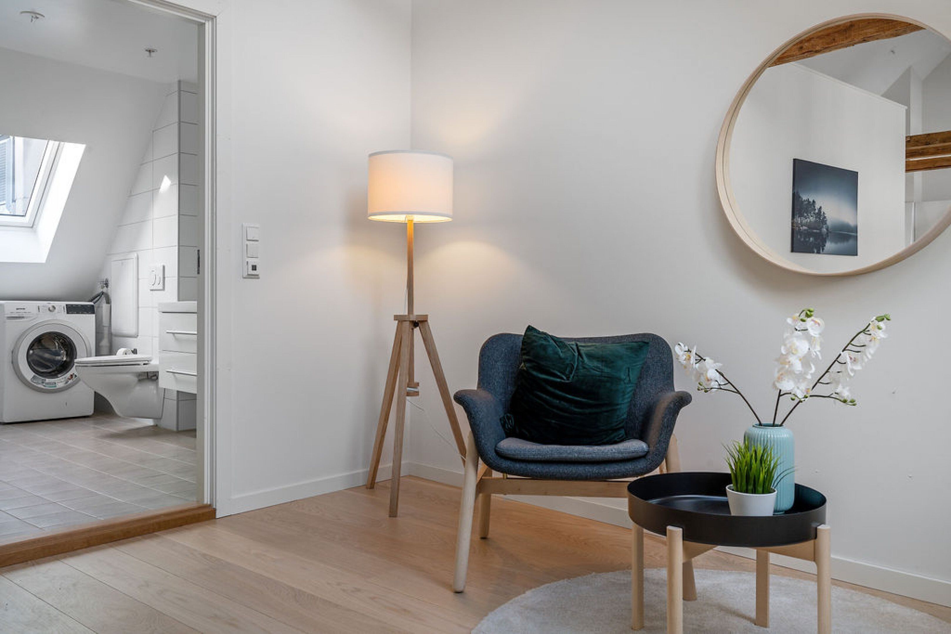 Departamento clásico | Área de sala de estar | Televisión de pantalla plana 