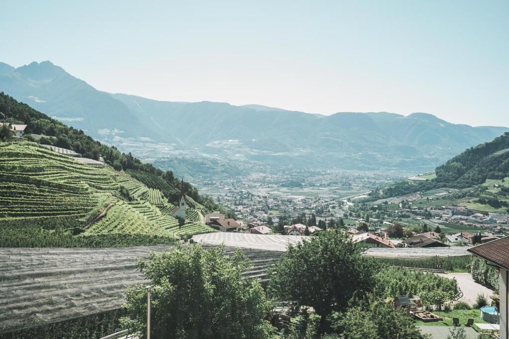 A rural landscape with terraced vineyards, a small village, and mountains in the background.